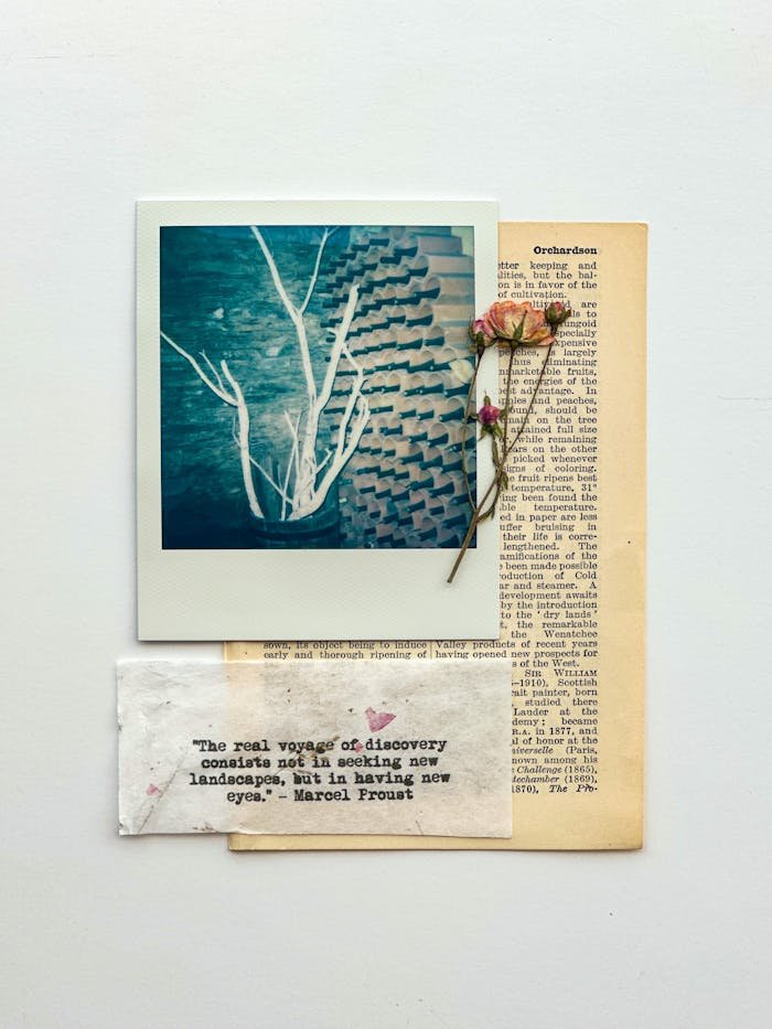 Artistic vintage flat lay with Polaroid, dried flowers, and text on paper.